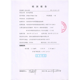 檢測報告